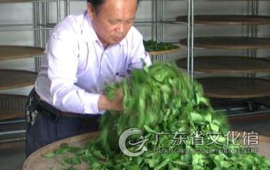 烏龍茶製作技藝（潮州單叢茶製作技藝）
