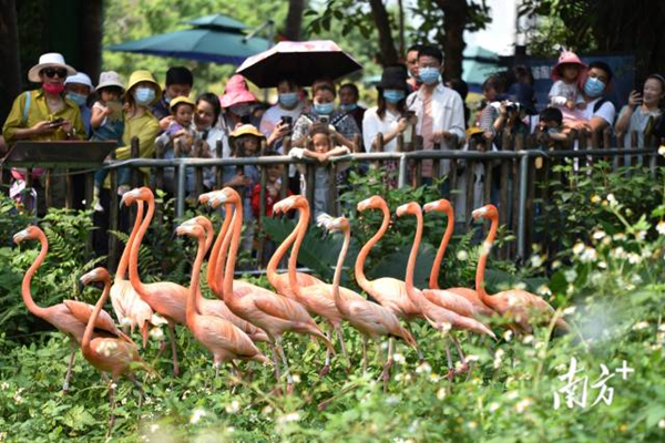 旅遊大圖.jpg