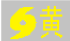 台風黃色.png
