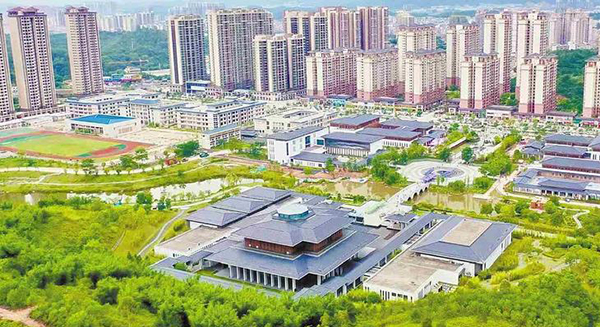 雲浮市委書記盧榮春：奮進“第一方陣” 探索突圍爭先路徑