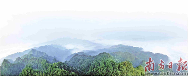 雲勇林場.jpg