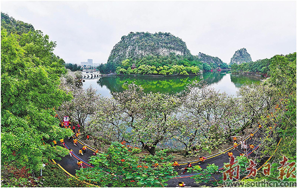 肇慶馬拉鬆.jpg