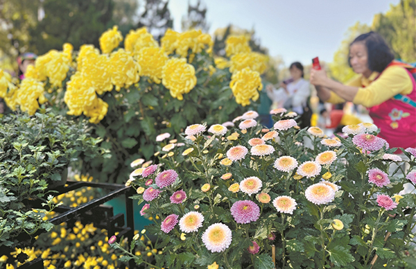 第十屆黃花文化節開幕