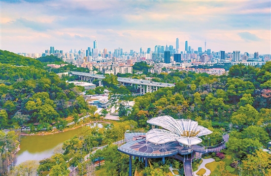 雲蘿植物園.jpg