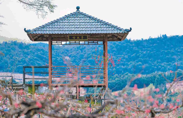 “桃花仙子”遊連平