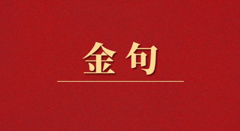 金句丨貫徹落實中央八項規定精神，總書記闡明要旨